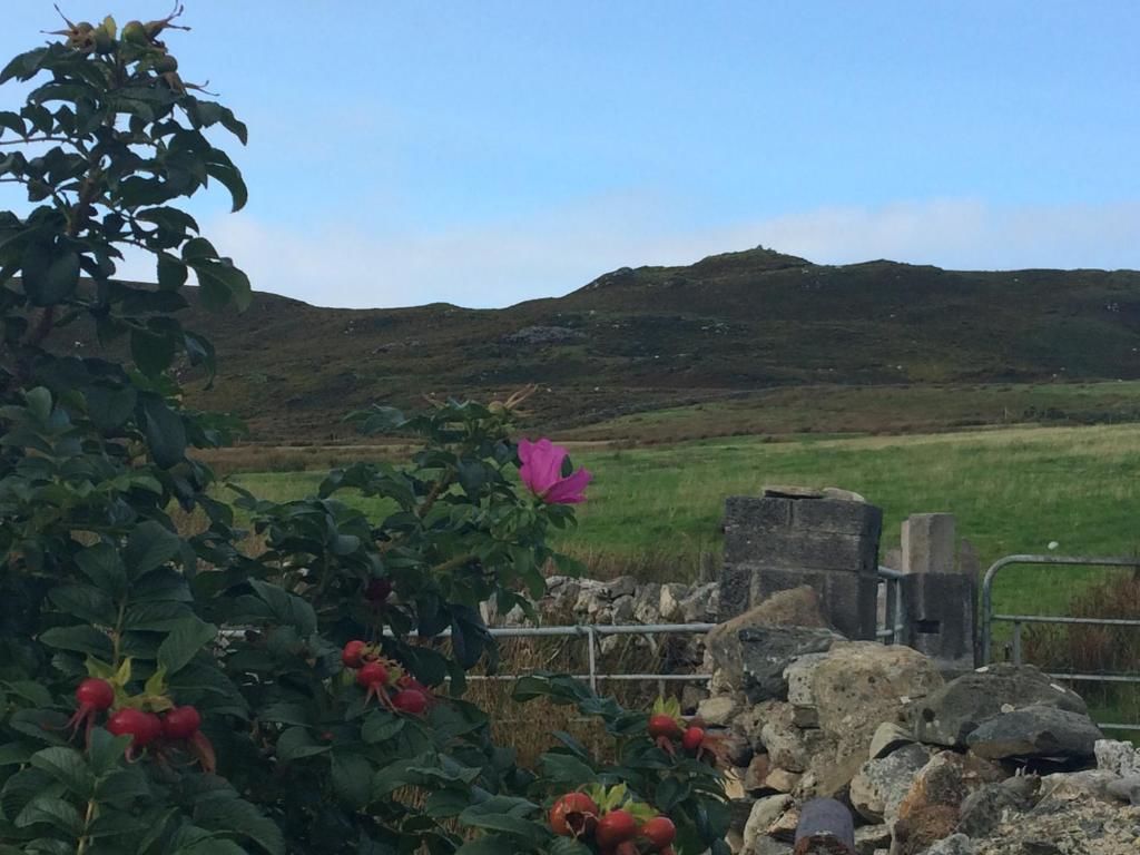 Дома для отпуска Cleggan Farm Holiday Cottages Cleggan-64