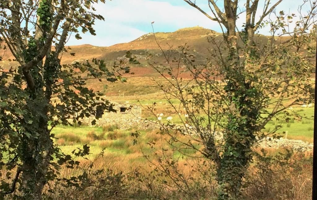 Дома для отпуска Cleggan Farm Holiday Cottages Cleggan-73